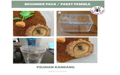 BEGINNER PACK / PAKET PEMULA TARANTULA - KANDANG A